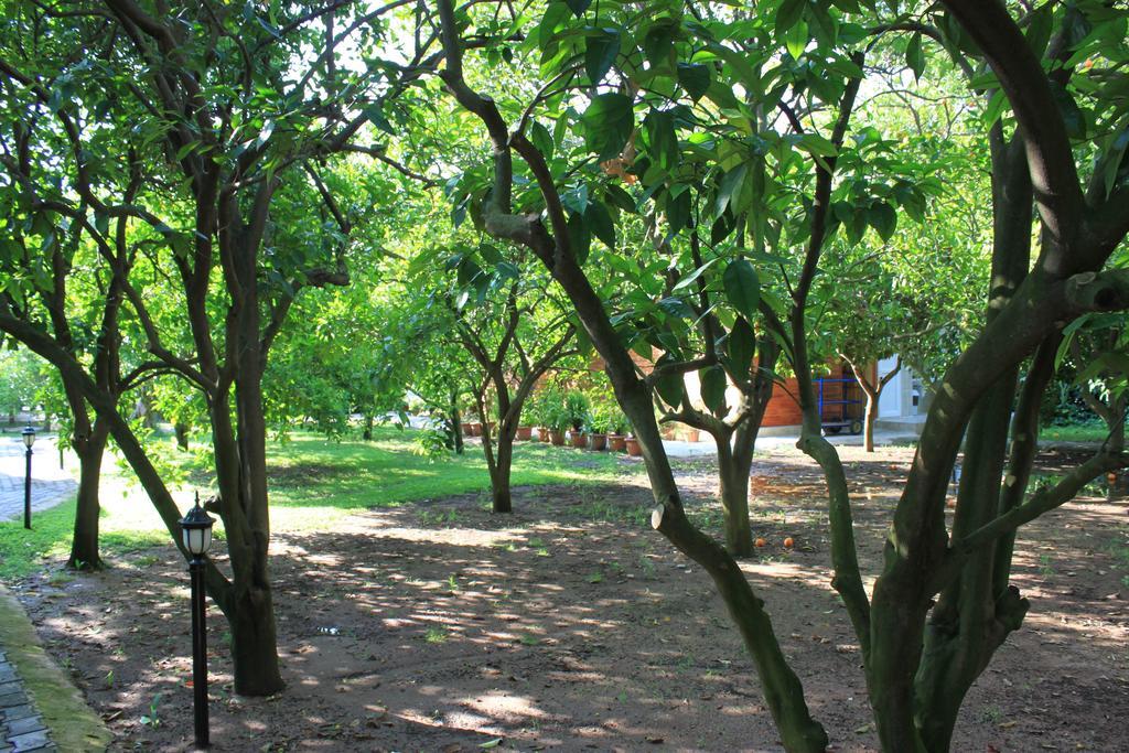 Yildiz Pension Bungalows Чирали Екстер'єр фото
