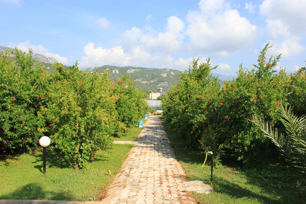 Yildiz Pension Bungalows Чирали Екстер'єр фото